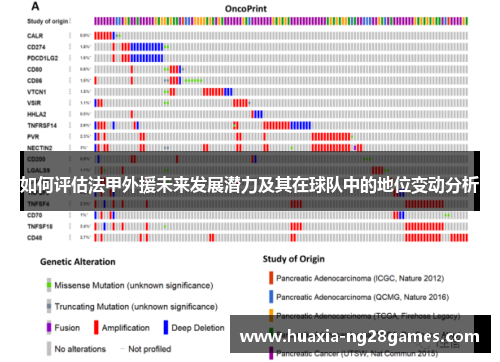如何评估法甲外援未来发展潜力及其在球队中的地位变动分析