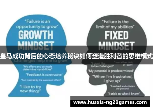 皇马成功背后的心态培养秘诀如何塑造胜利者的思维模式